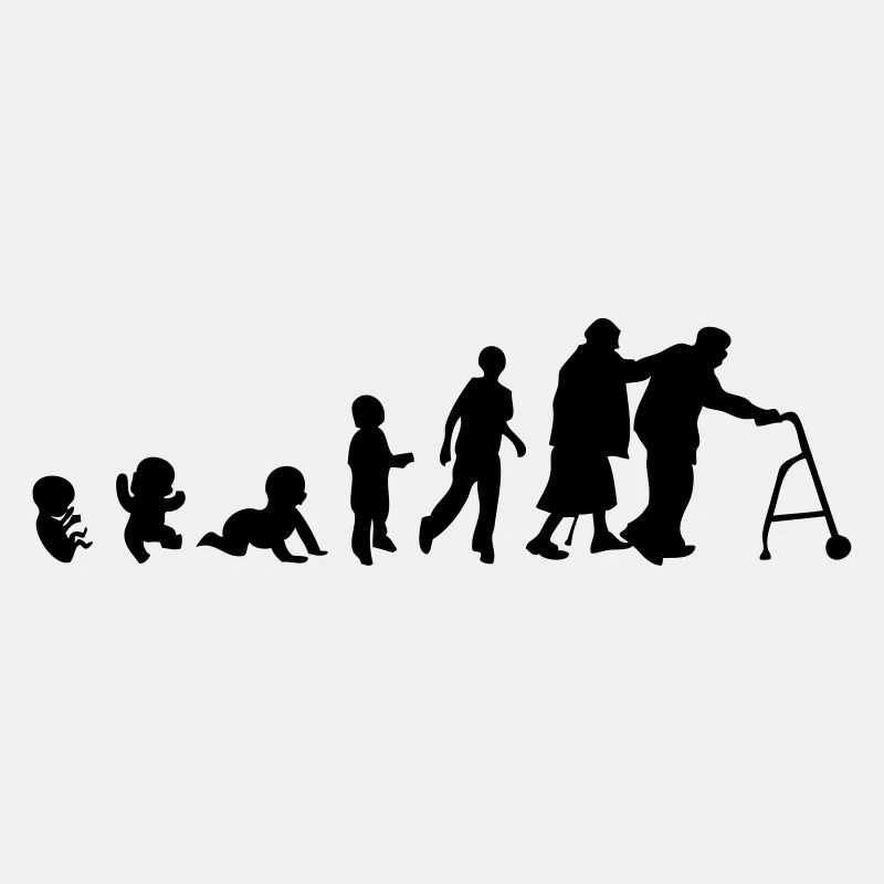 Evolution Mensch Mensch Alter