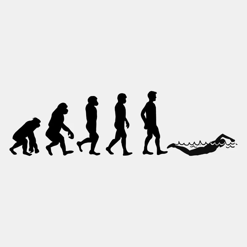 Evolution natation