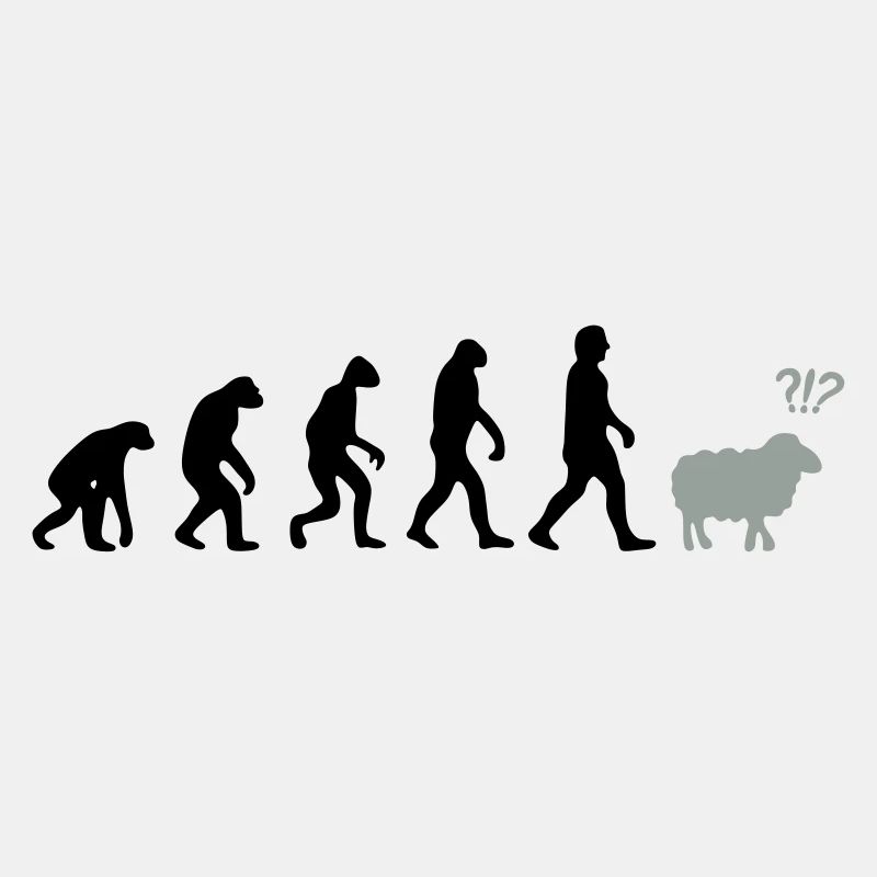 evolution mouton