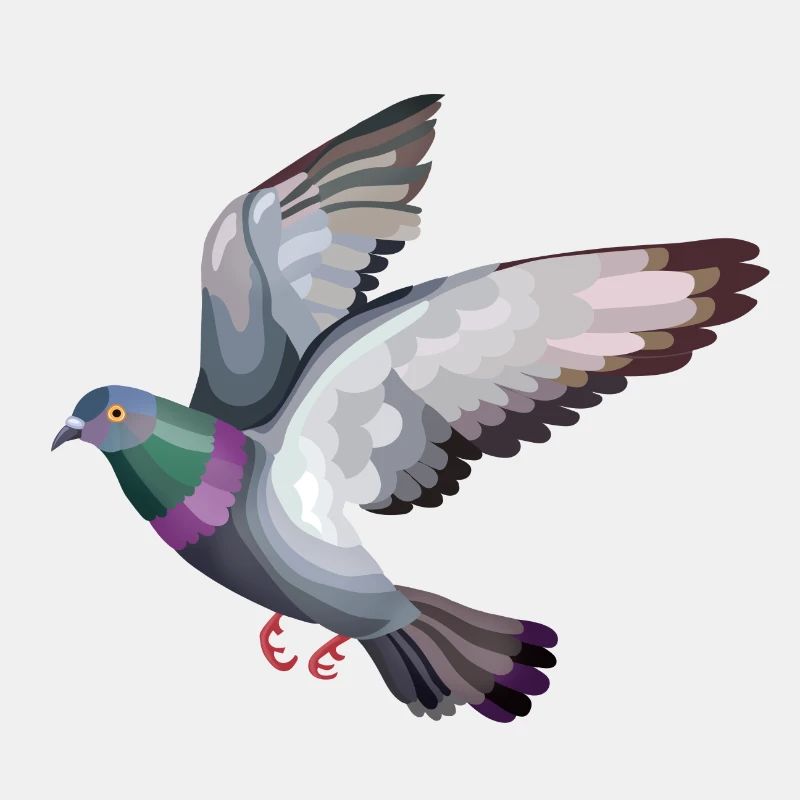 pigeon vole