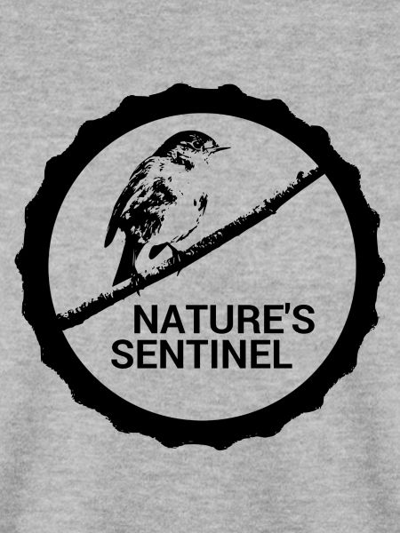 Wächter der Natur #Rotkehlchen
