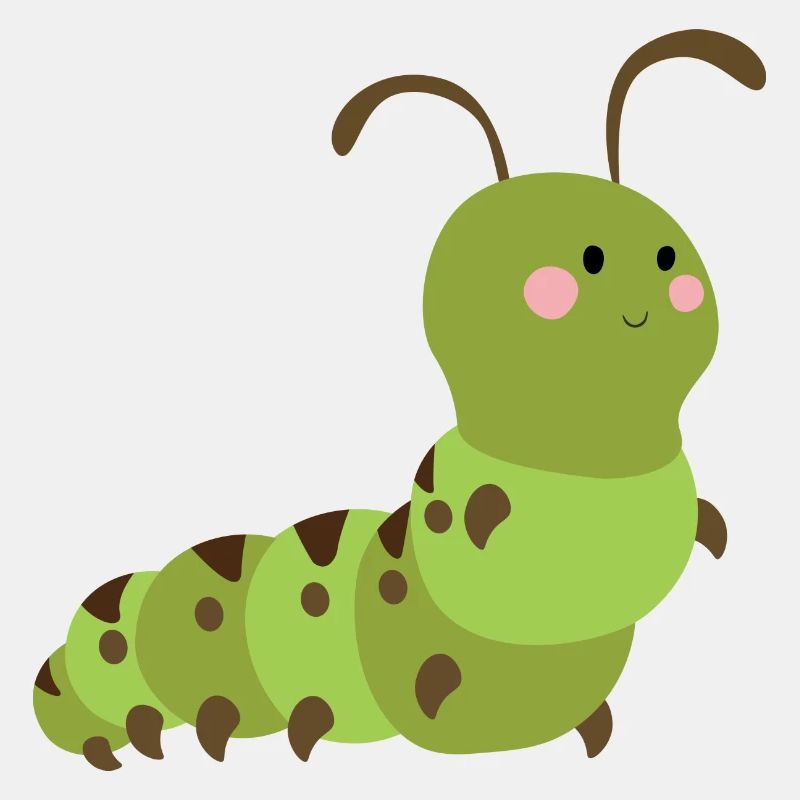 Raupe