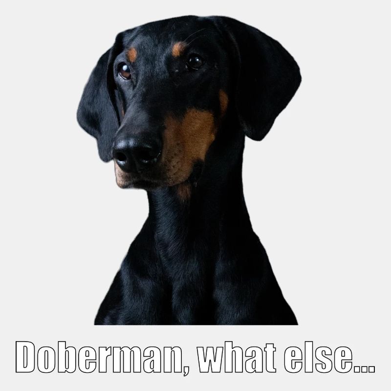 doberman, what else...