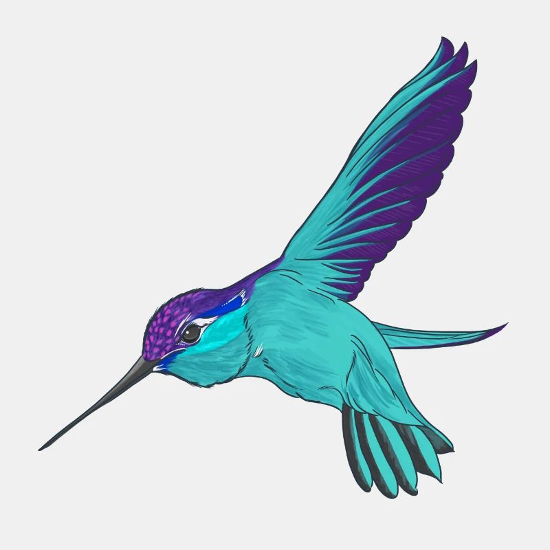Kolibri