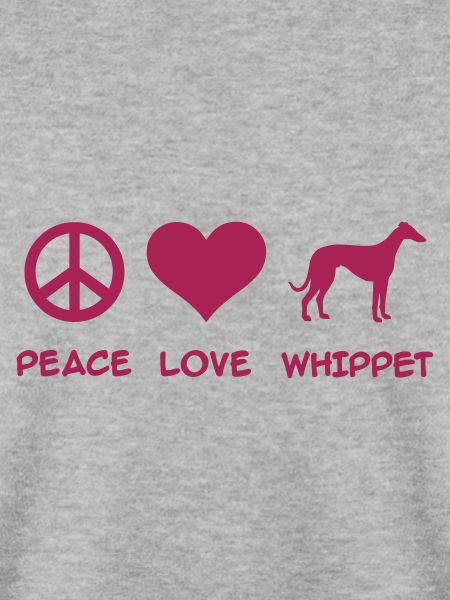 Whippet
