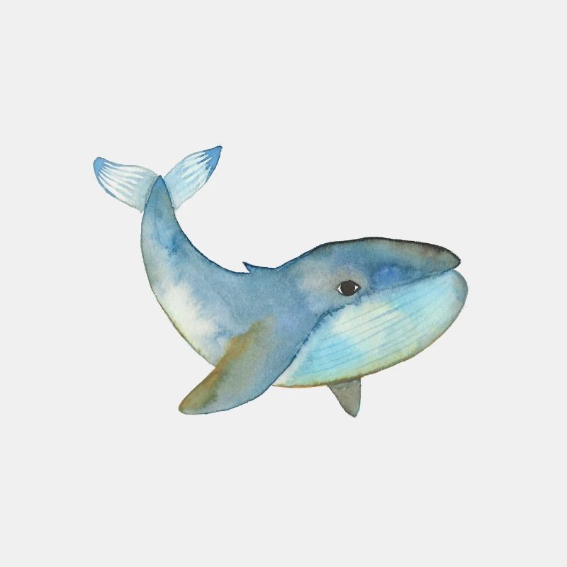Wal Aquarell