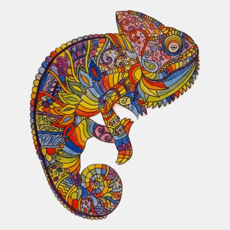 Colourful Chameleon