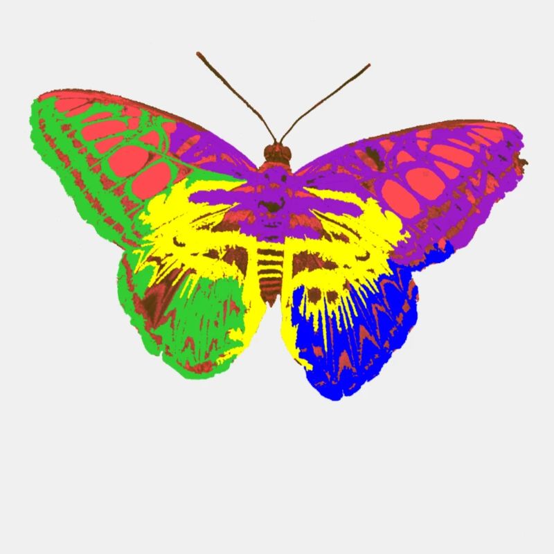 Regenbogen-Schmetterling