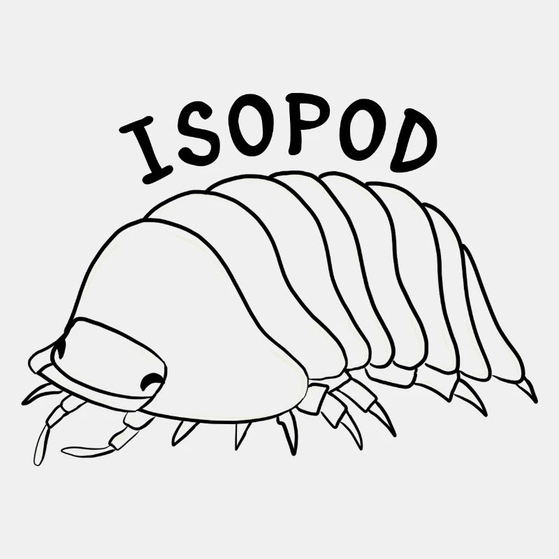 Isopode