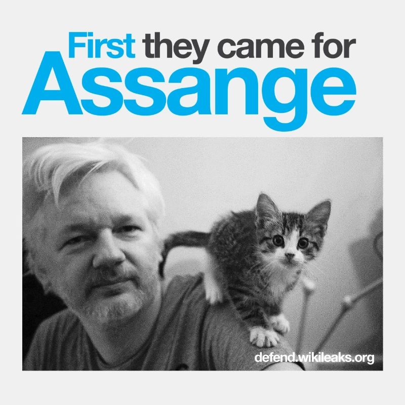 Zuerst kamen sie nach Assange