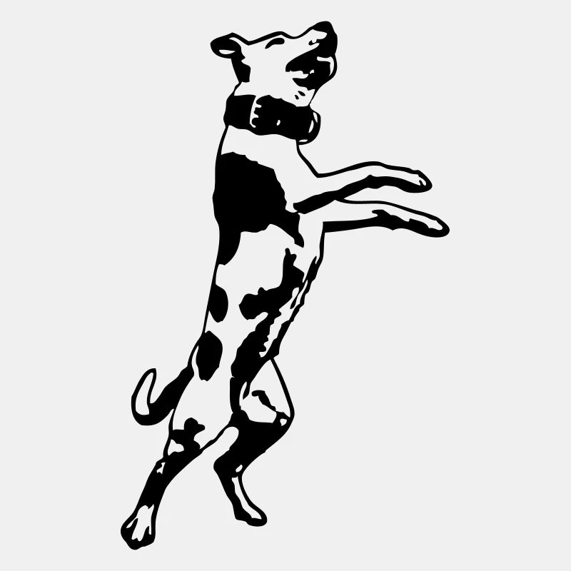 Stafford © - www.dog-power.nl