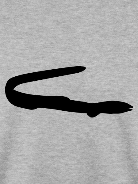 Fisch Aal