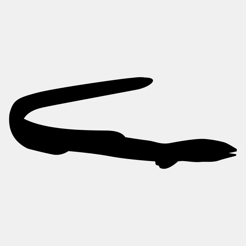 Fish eel