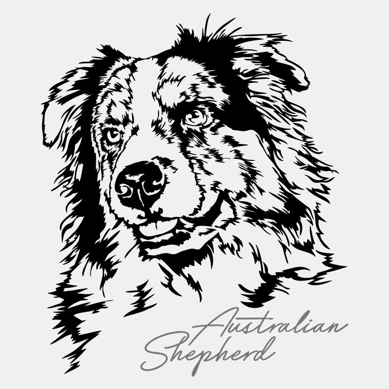 AUSTRALIAN SHEPHERD merle Portrait Wilsigns