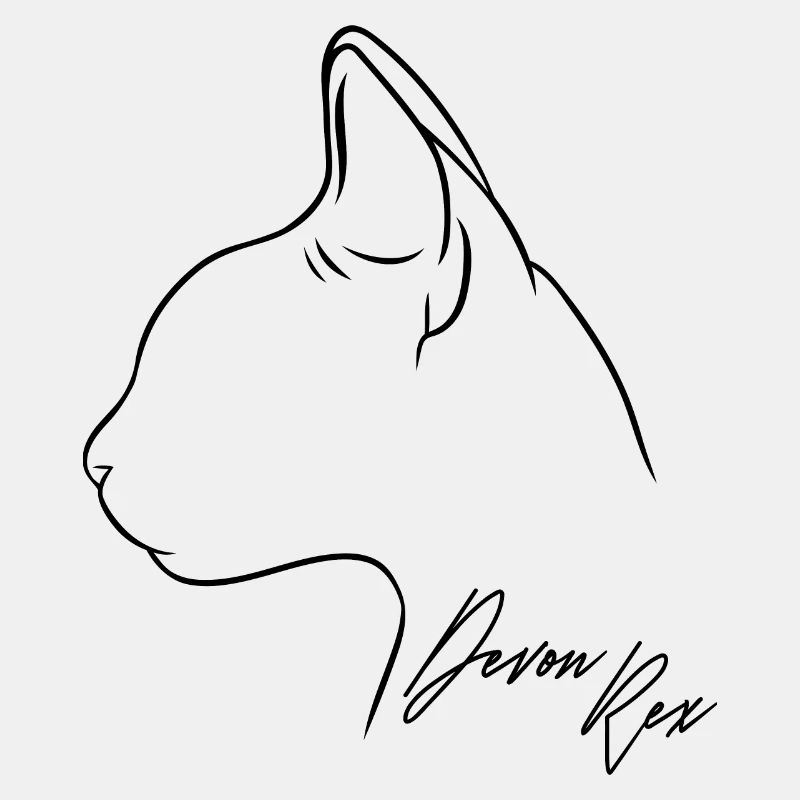 Devon Rex Profil Katzen Katze Wilsigns