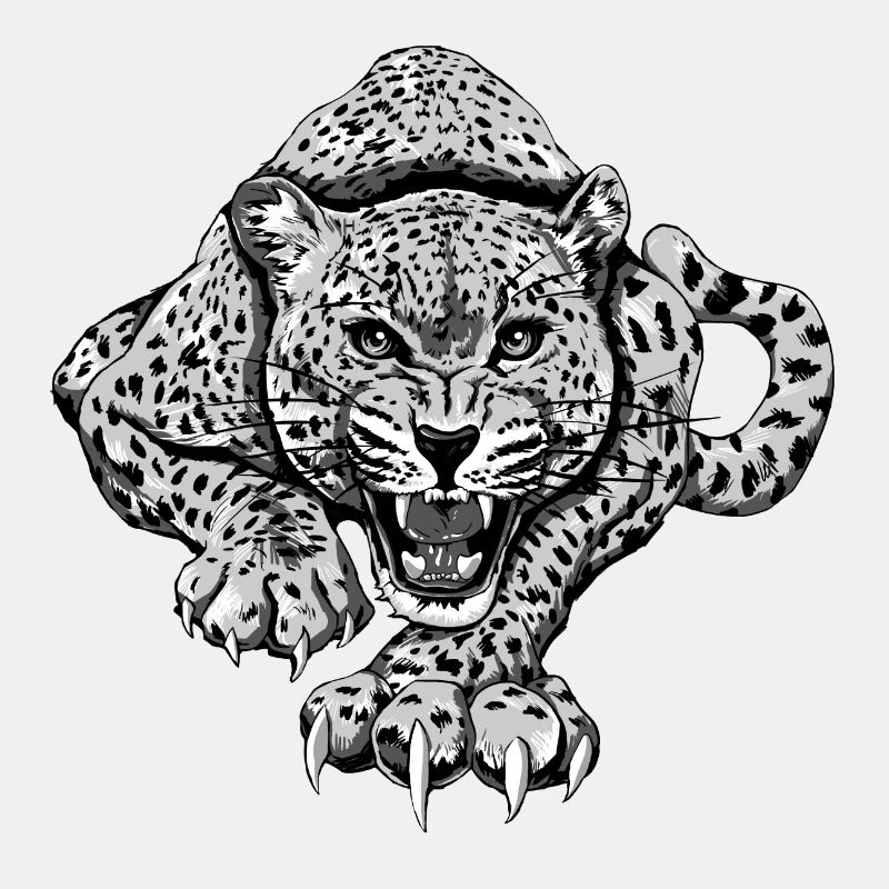 KutuXa Leopard