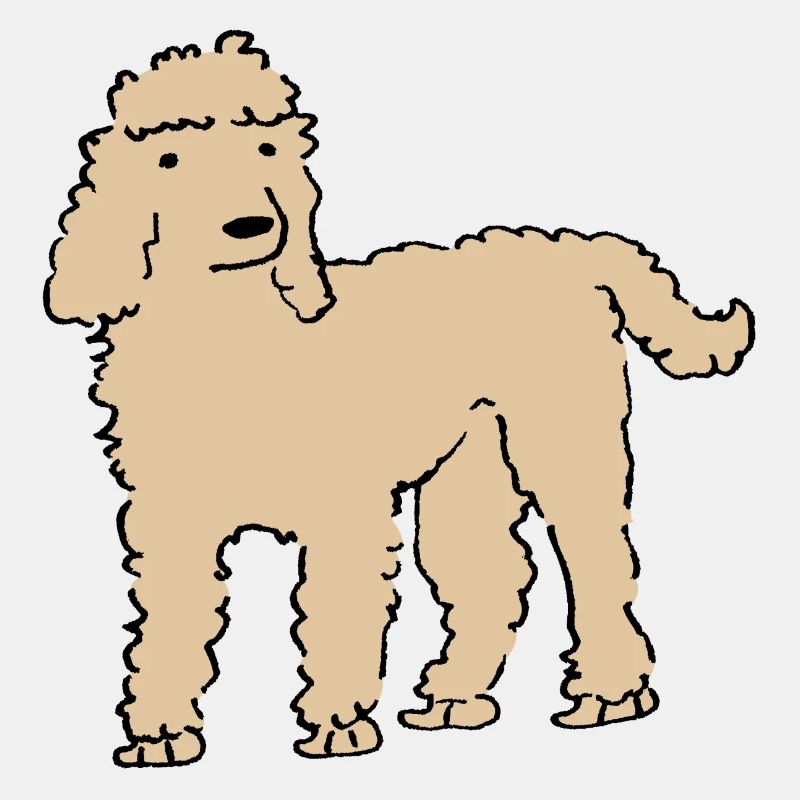 Pudel