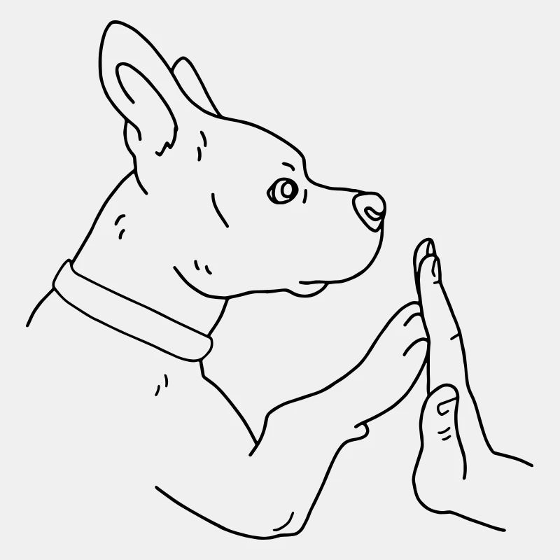 Hund gibt Pfote
