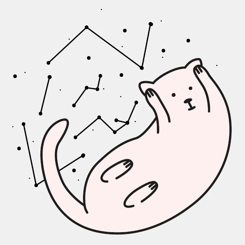 Space Cat Version 2