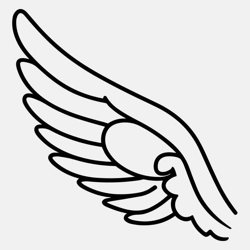 Ailes d'ange