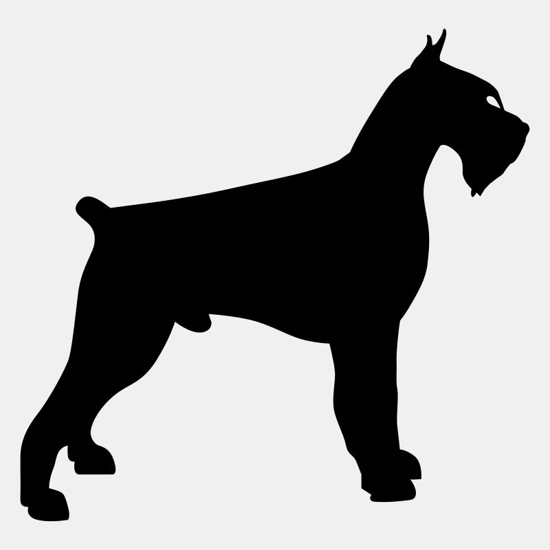 schnauzer géant