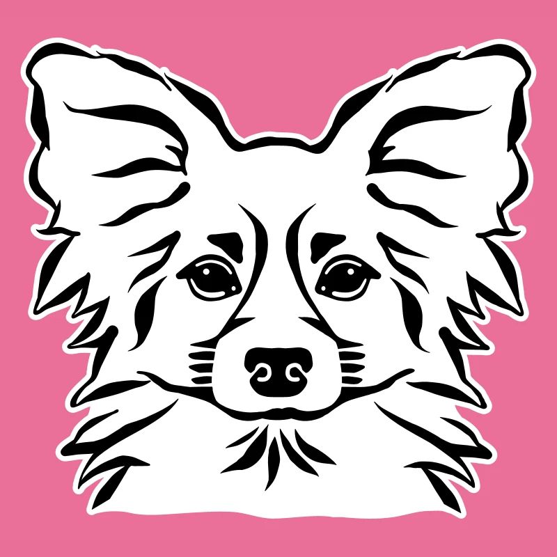 Papillon