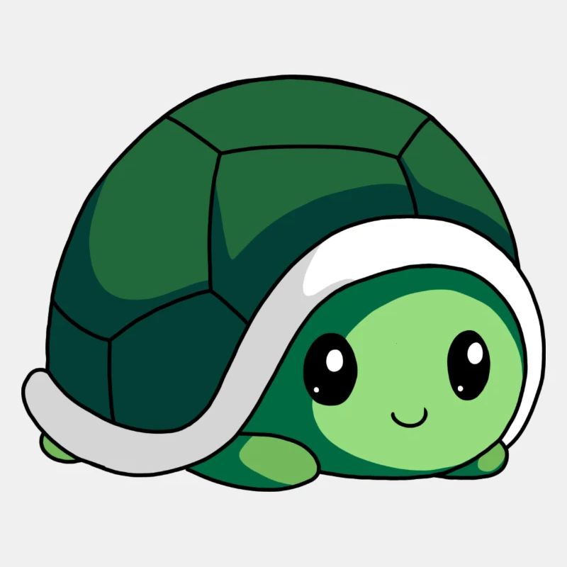 littel cute bébé Turtle