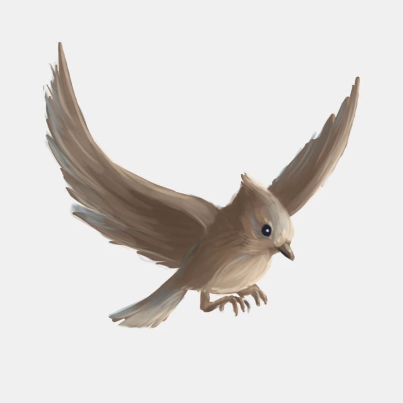kleines vogel fliegen peniture