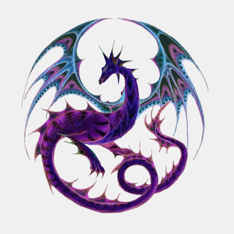 Purpurdrache