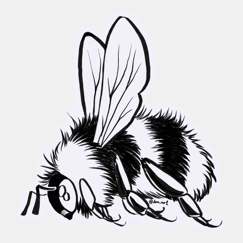 Hummel