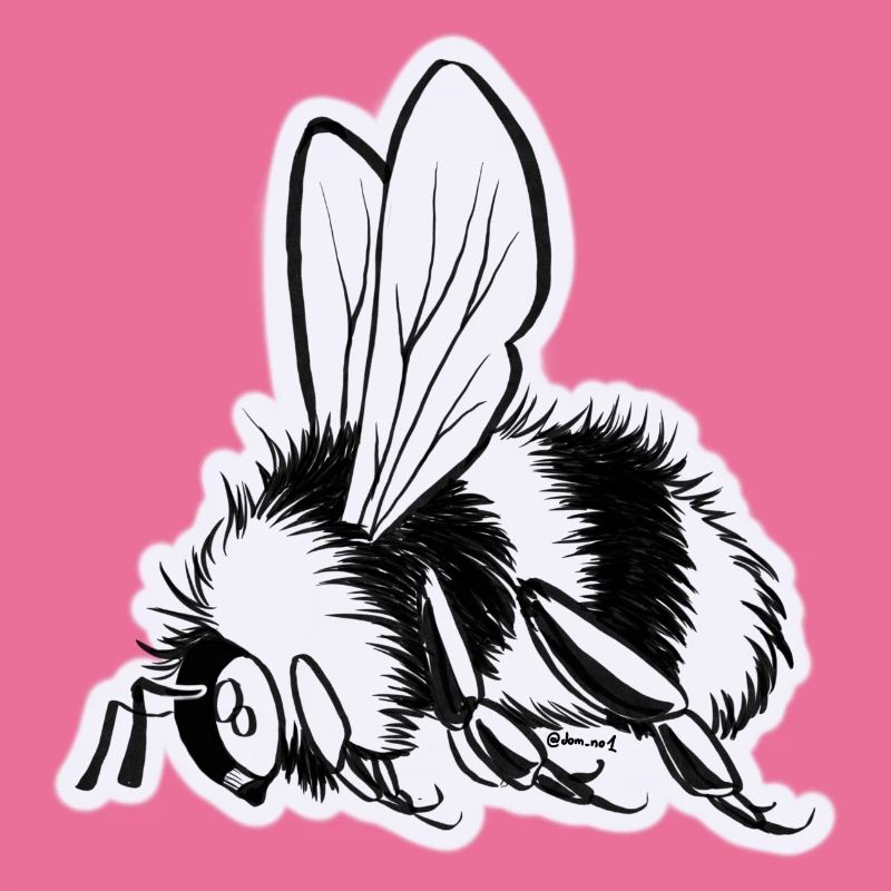 Hummel