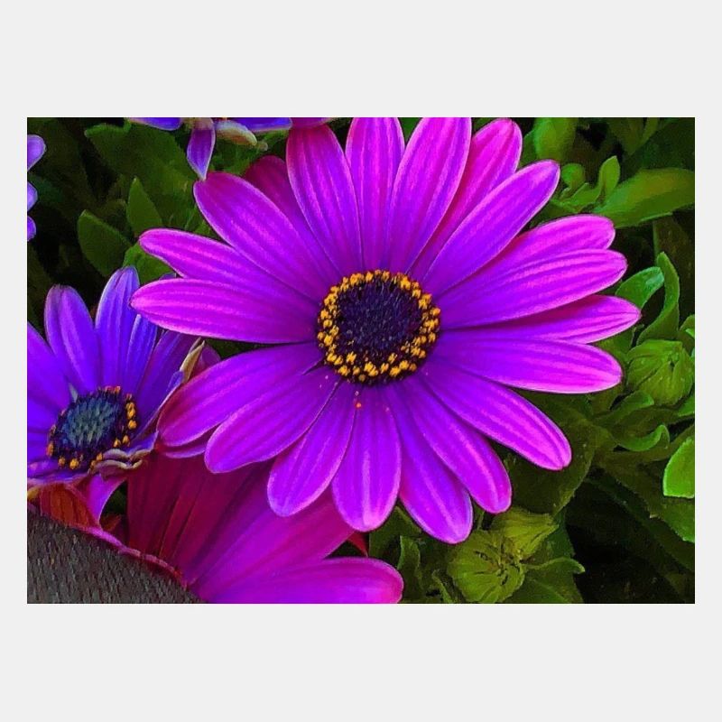 Blumen