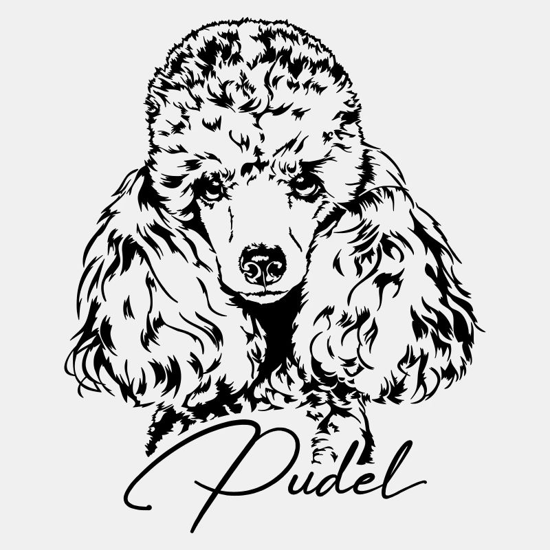 Portrait de chien caniche miniature petit caniche PUDEL Wilsigns