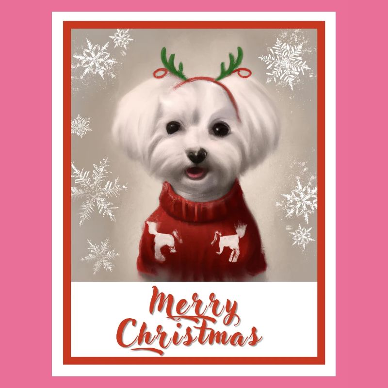 Doux chien maltais dans un pull de Noël rouge.