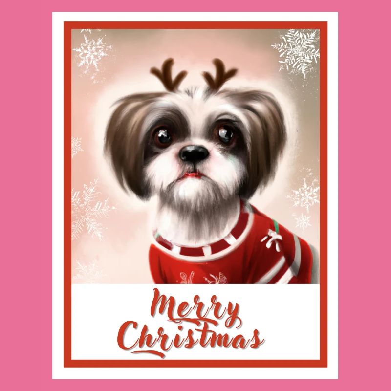 Mignon chien Shih tzu dans un pull de Noël.