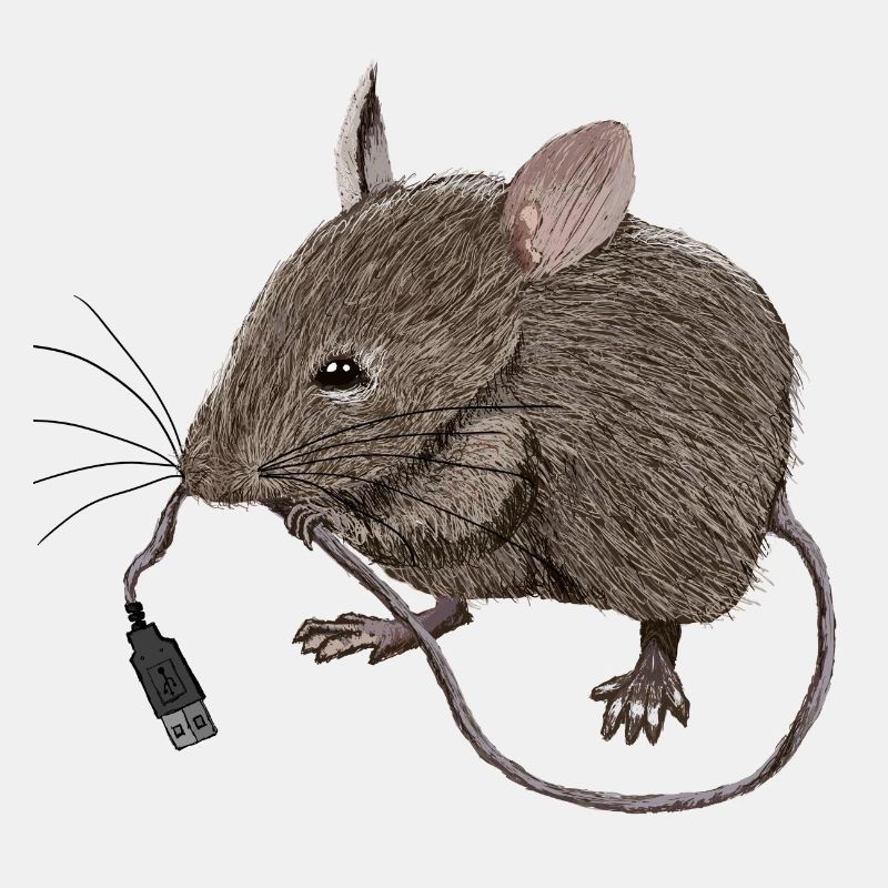 Souris USB
