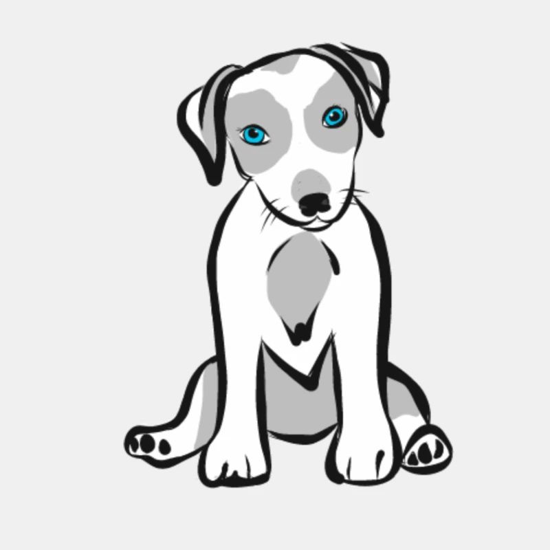 puppy