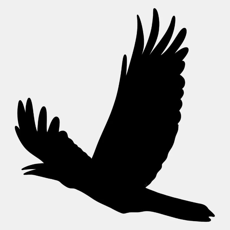 Corbeau volant