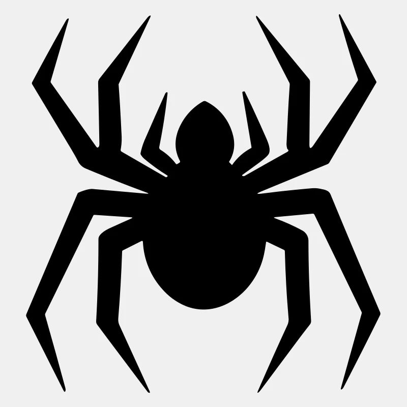 Spinne