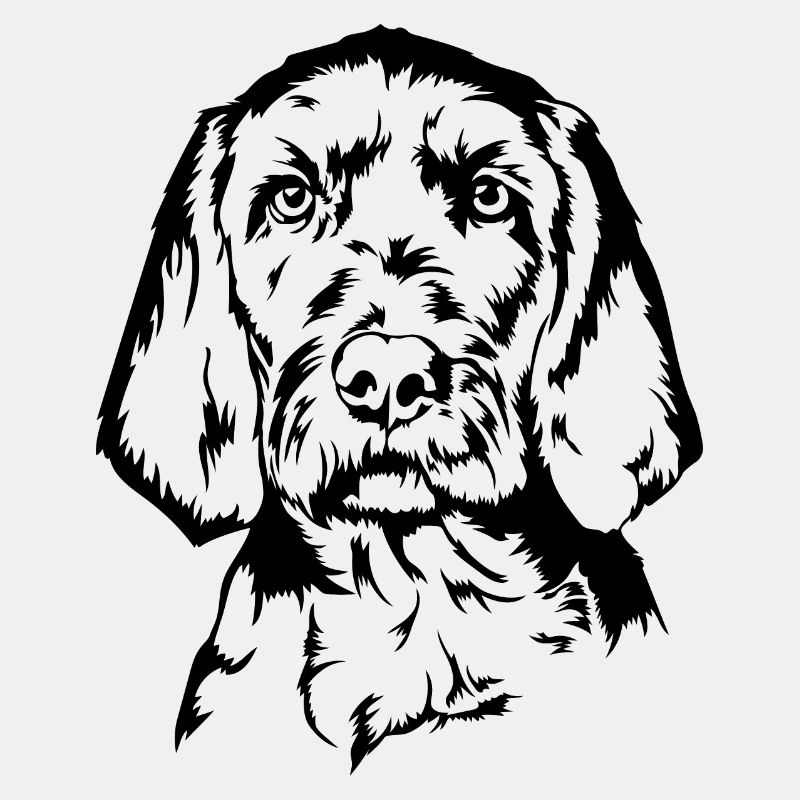 Vizsla Drahthaar Portrait Hund Hunde Wilsigns