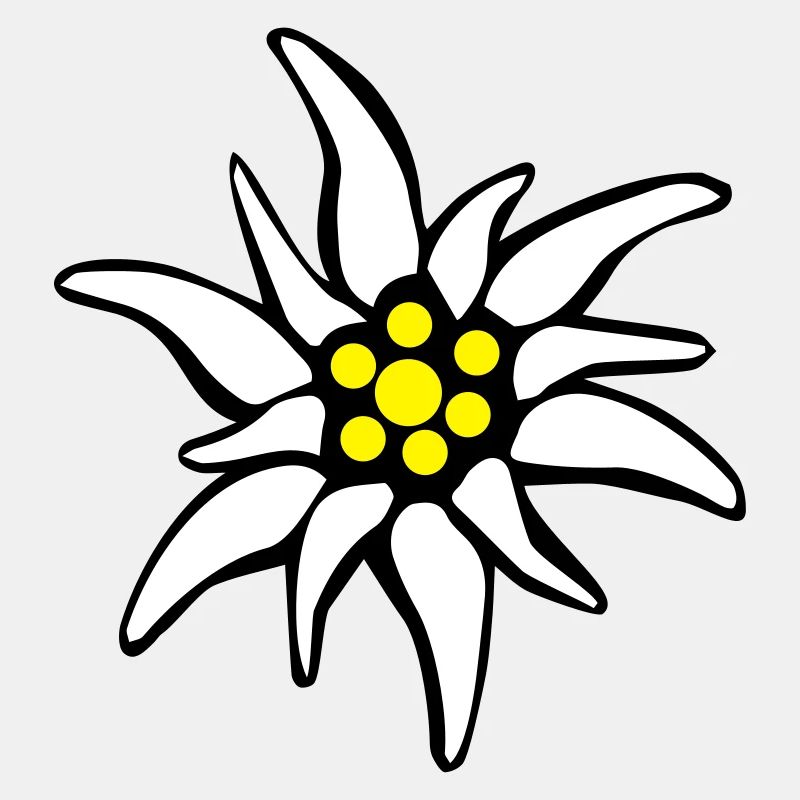 Edelweiss