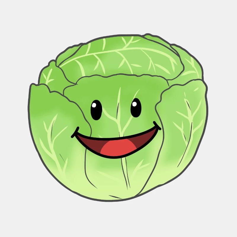 White Cabbage Vegetable Cabbage Head Cabbage Food Vegan