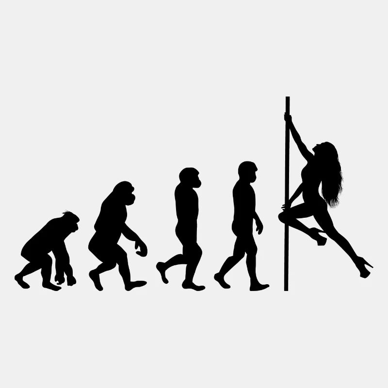 Pole Sport Dance Evolution Dancer Acrobatics