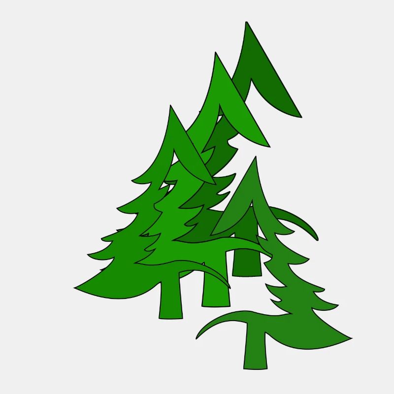 Tannenwald, Wald, Tannen