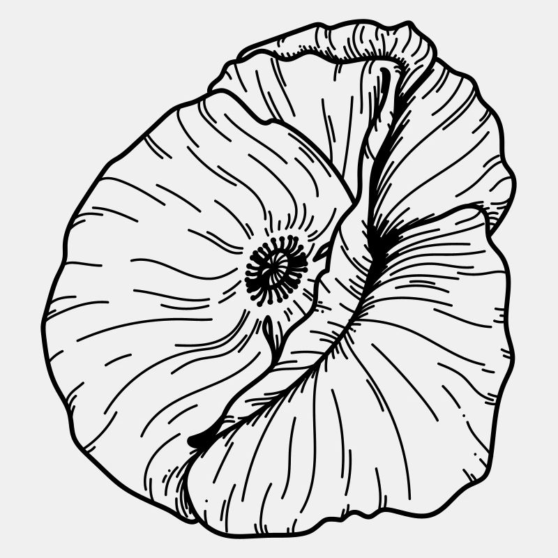 Fleur de coquelicot 20 Plan de travail 12