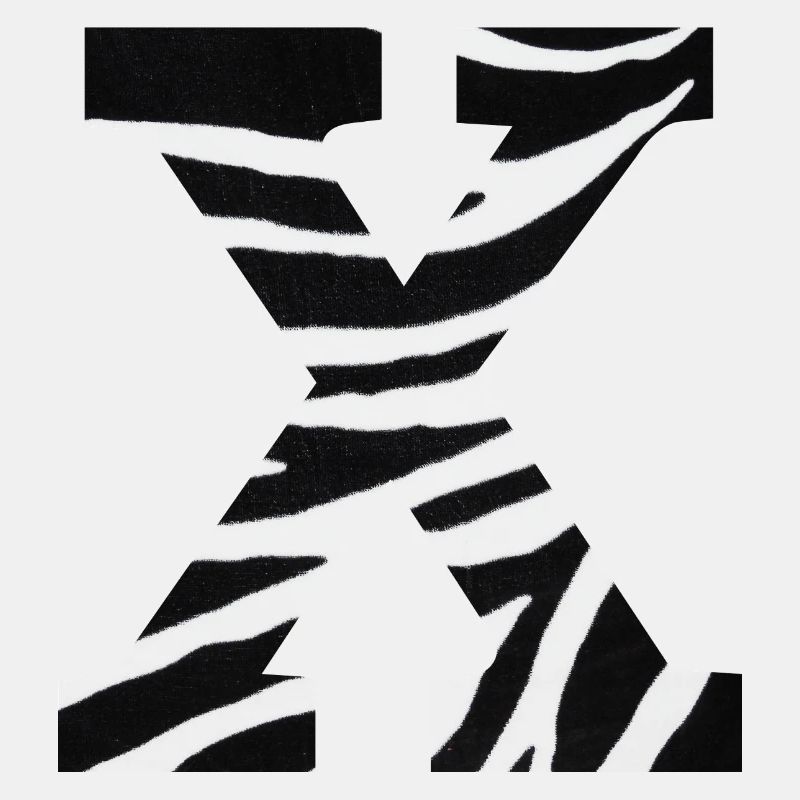 Buchstabe x Zebra