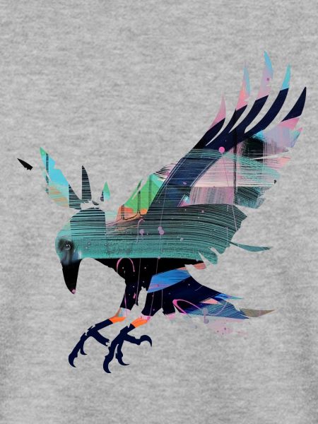 rabe,krähe,vogel,graffiti,rot,collage,bunt,malerei