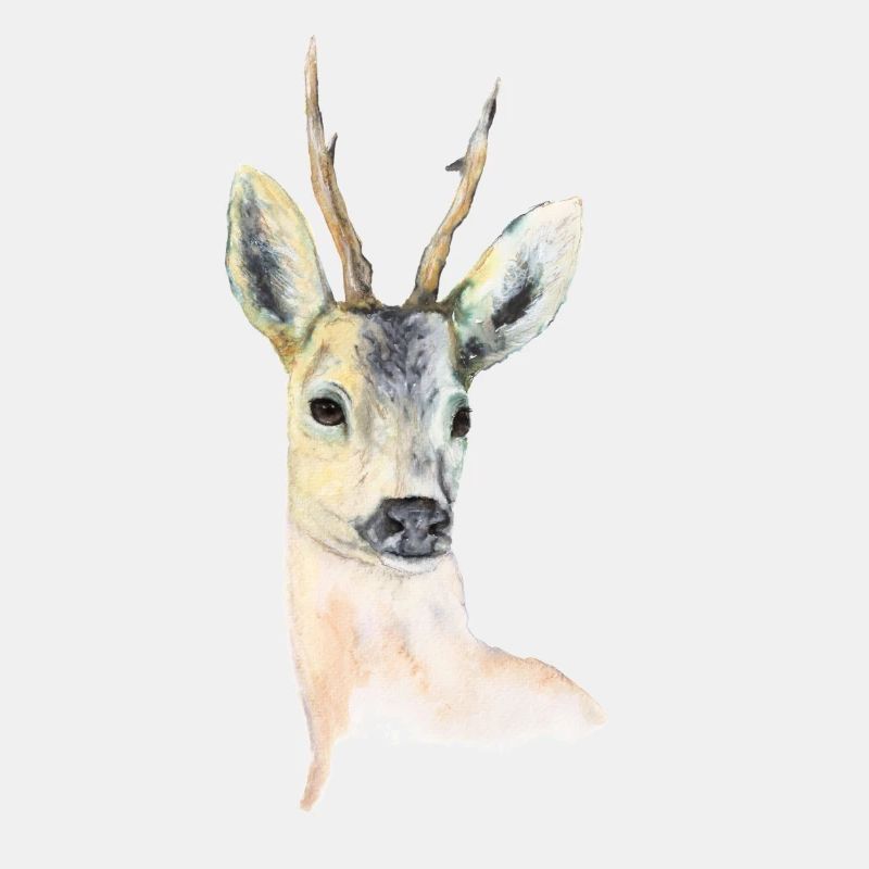 Deer 1.0