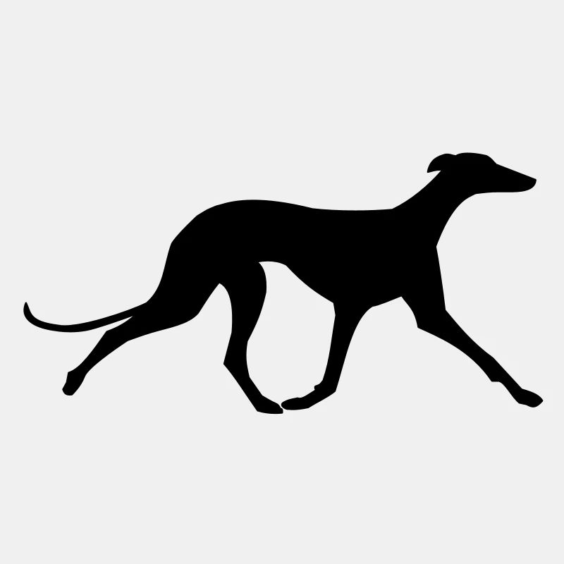 Galgo trabend