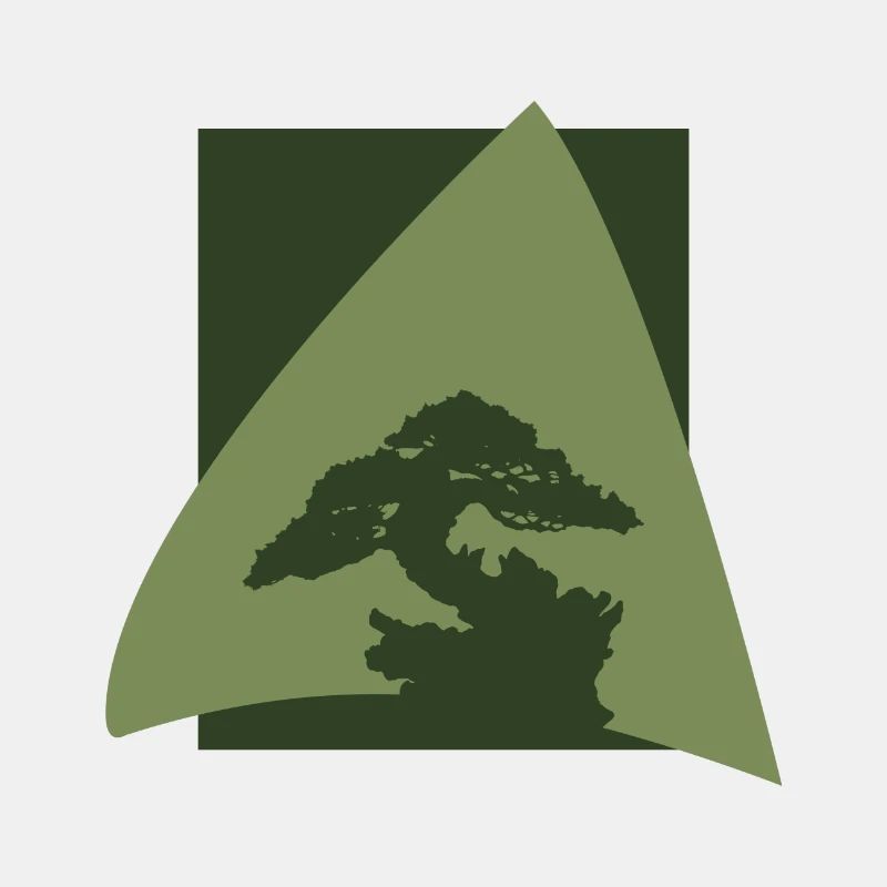 Baum Bonsai Wachsen Baum